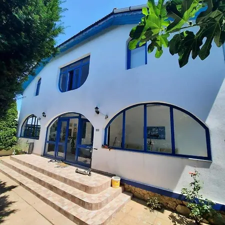 Vila Pescarus Pansiyon *