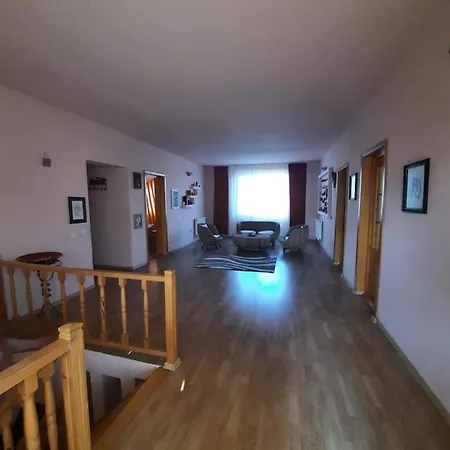 Vila Pescarus Pansiyon Costinești